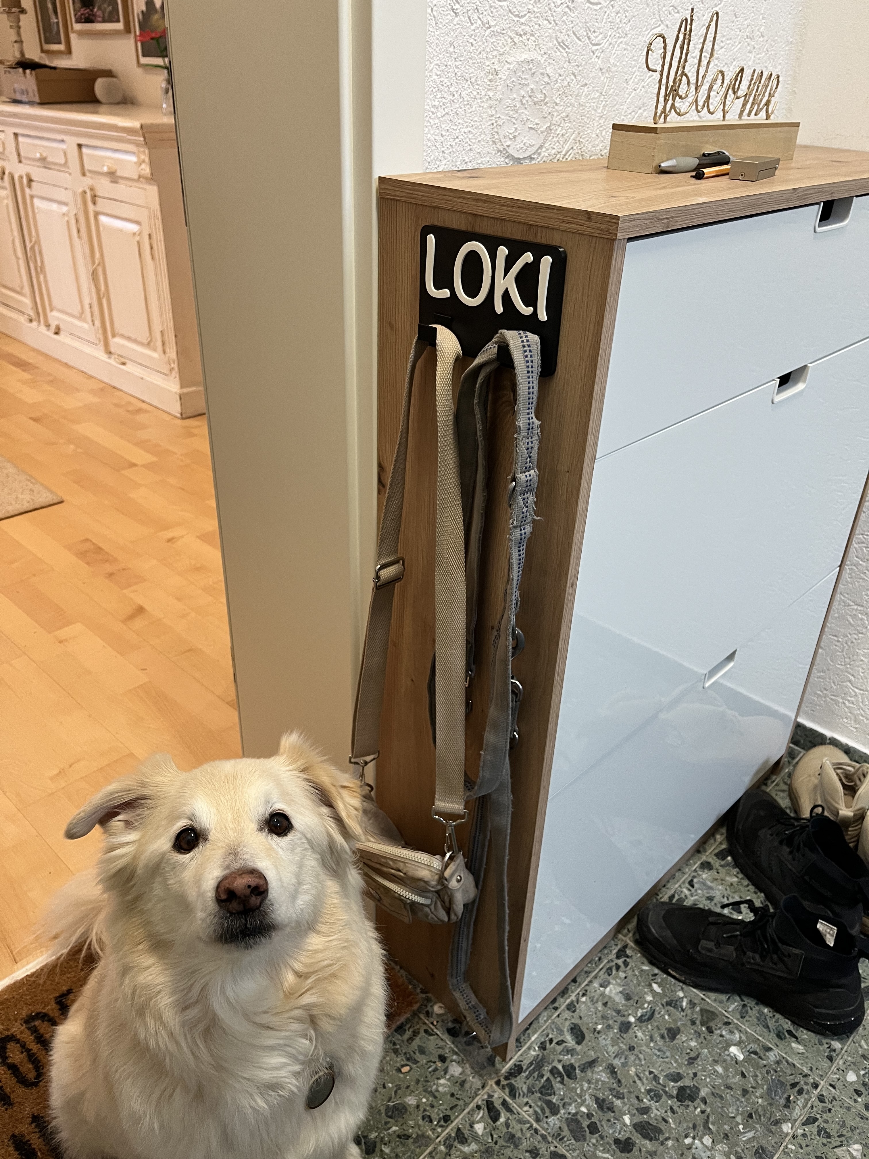 Personalized Dog Leash Holder – Wall-Mounted Sign