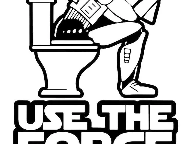 Star Wars Toilet Trooper Wall Art