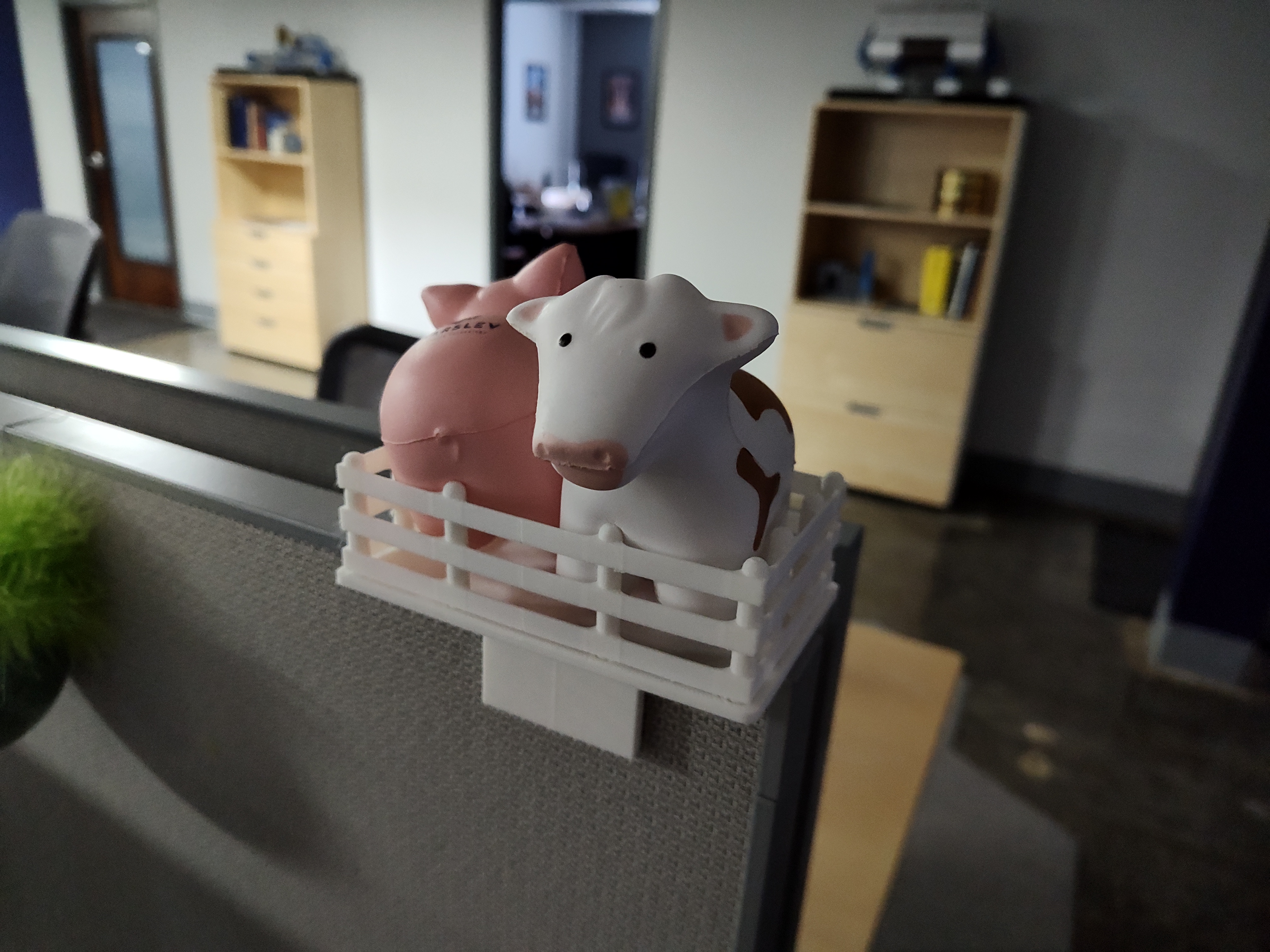 Cubical Pin for Small Animals