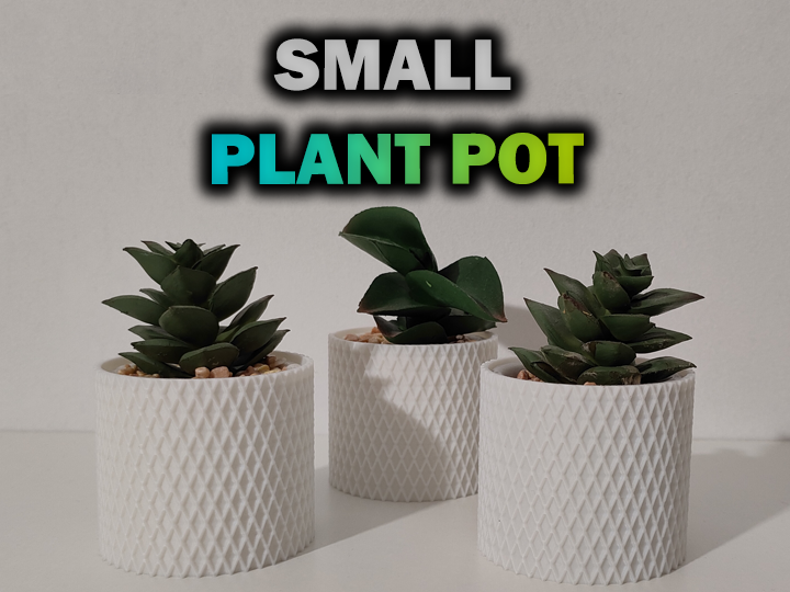 Small Plant Pot