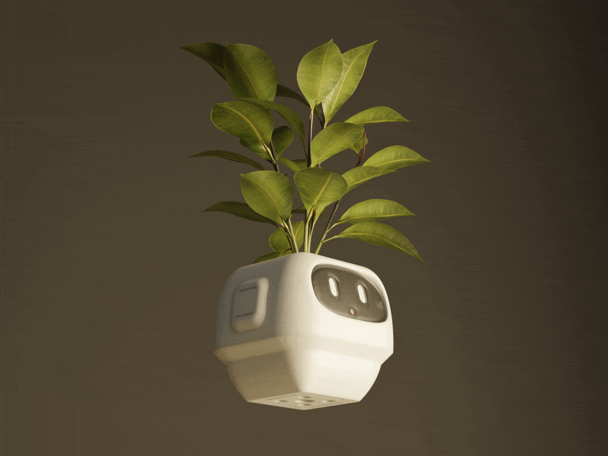Robo Plant