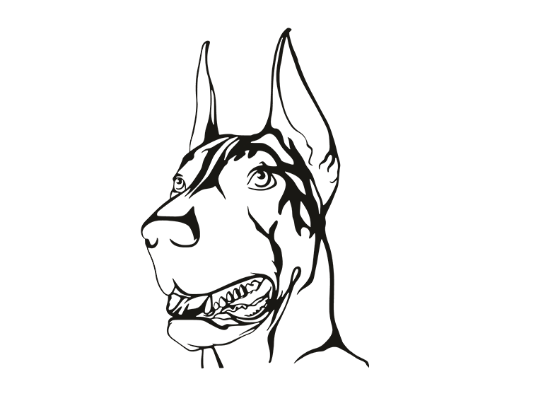 Doberman — miniatura 3