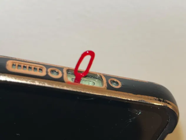 Phone cleaning the nest
