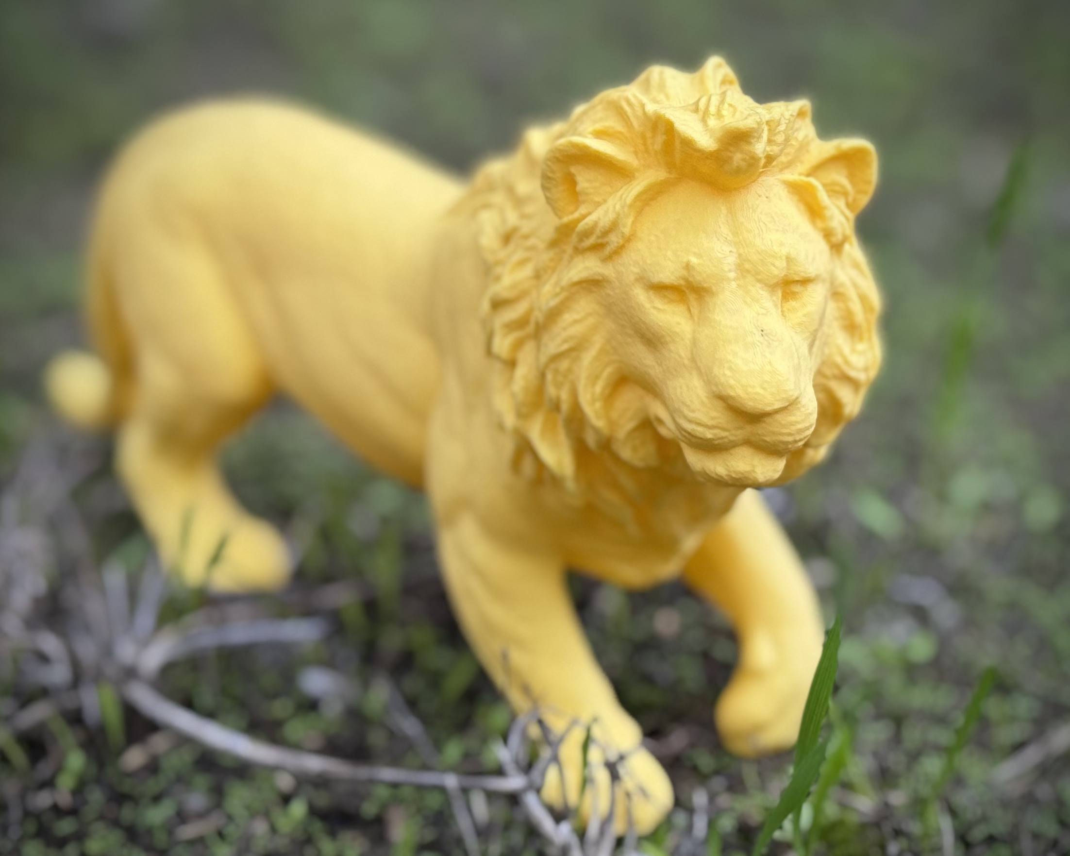 Prowling Lion