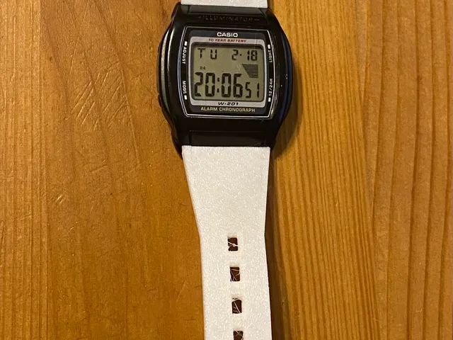 Casio Watchband