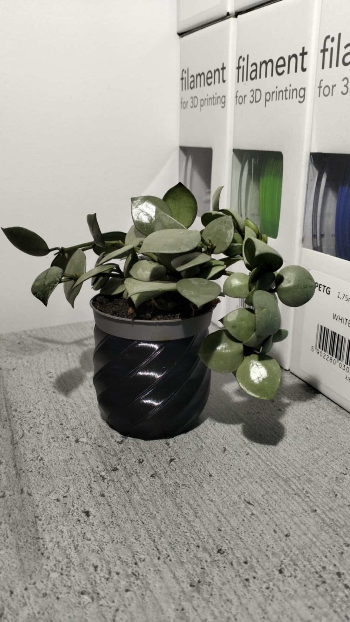Small Flower Pot – Elegant Home Decoration