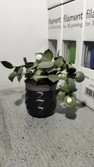 Small Flower Pot – Elegant Home Decoration