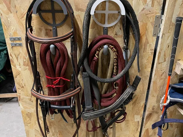 Horse bride/rope holder