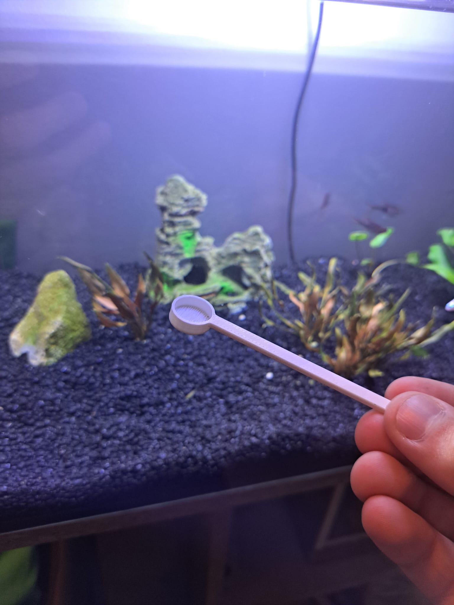 fast print spoon for fish feeding