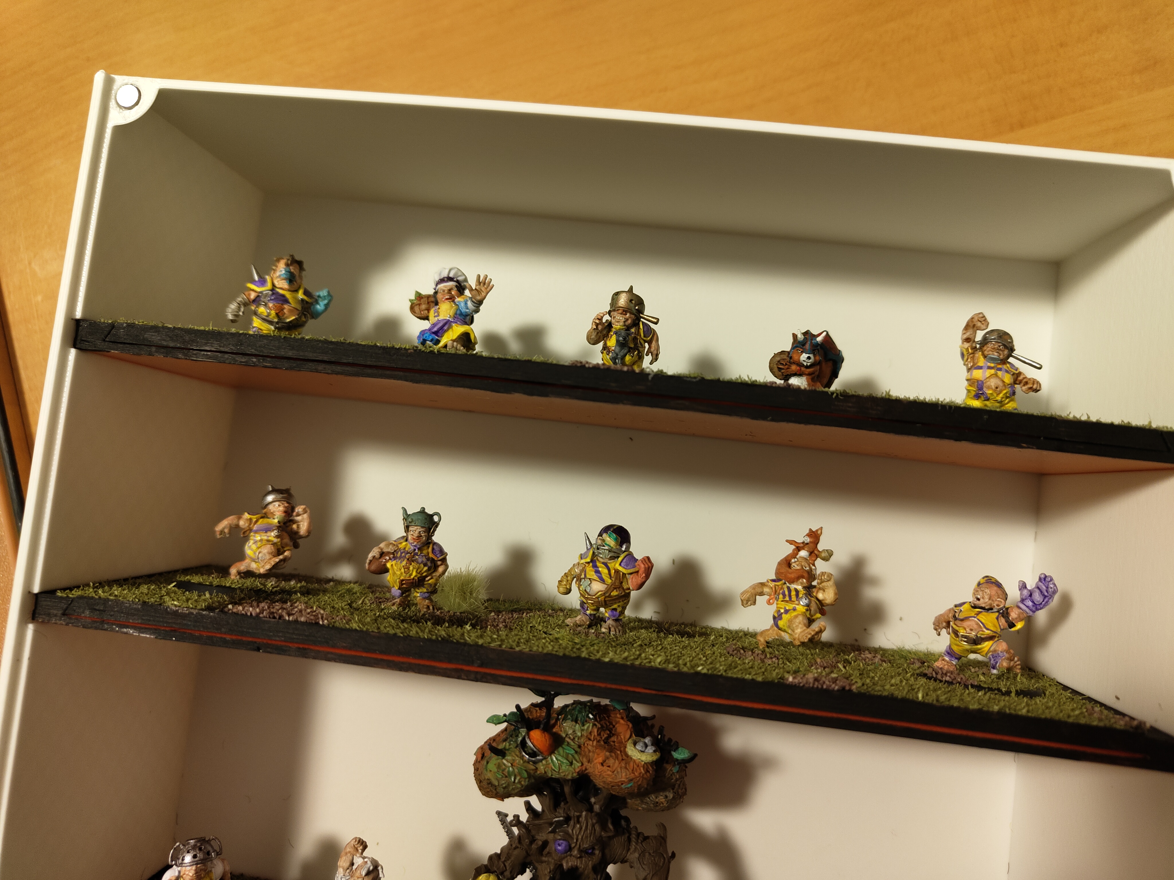 Disp+bowl case for displaying blood bowl teams — miniatura 4