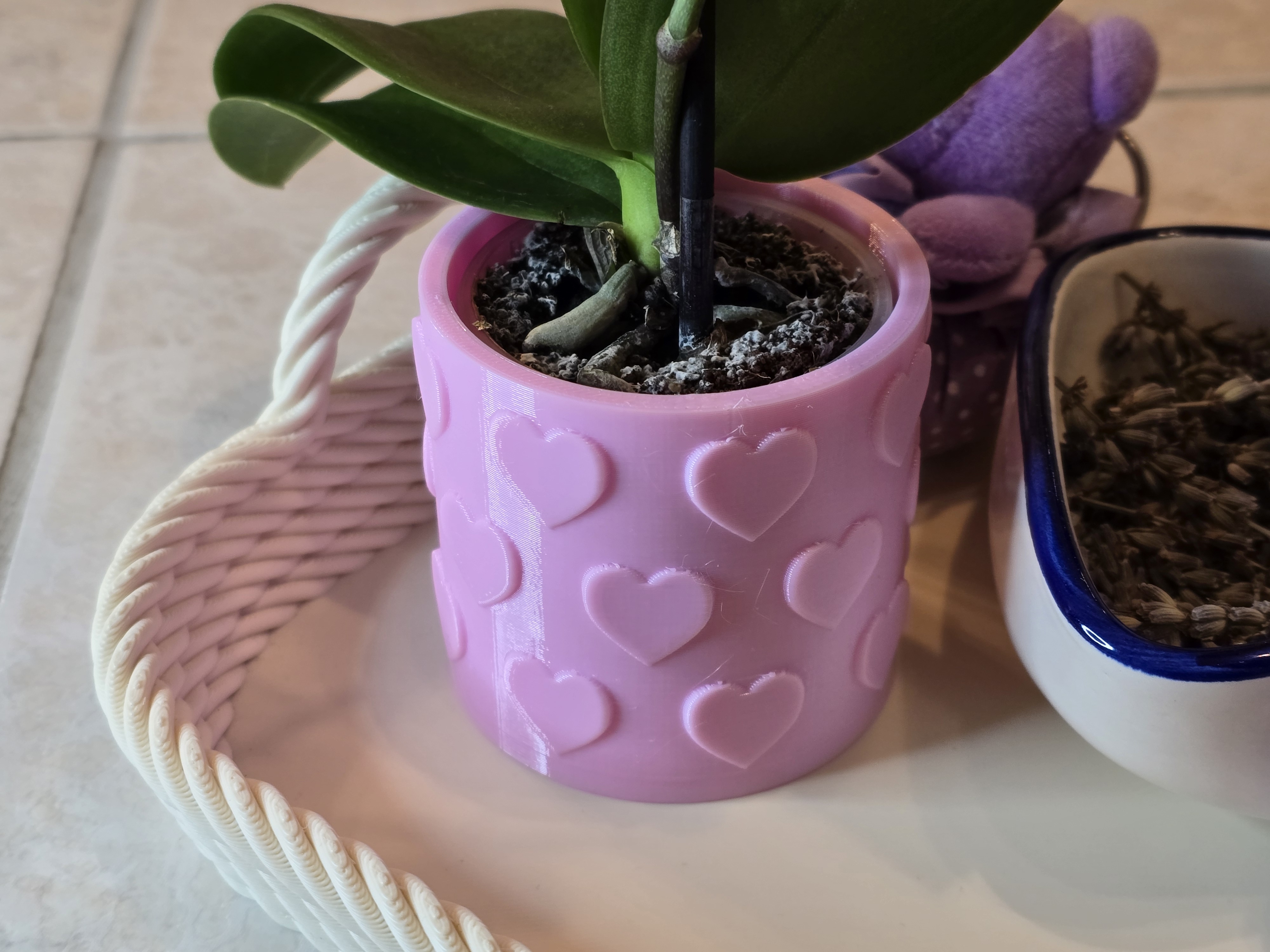 Heart flower pot