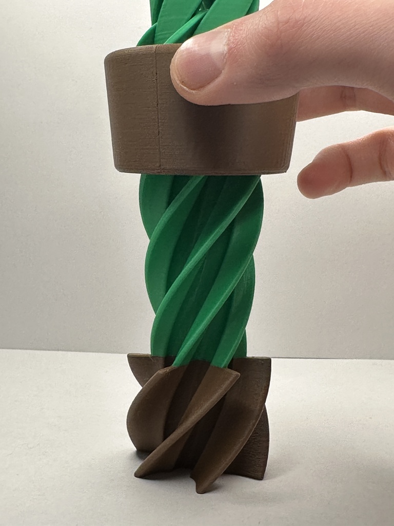 Cactus Passthrough — miniatura 2