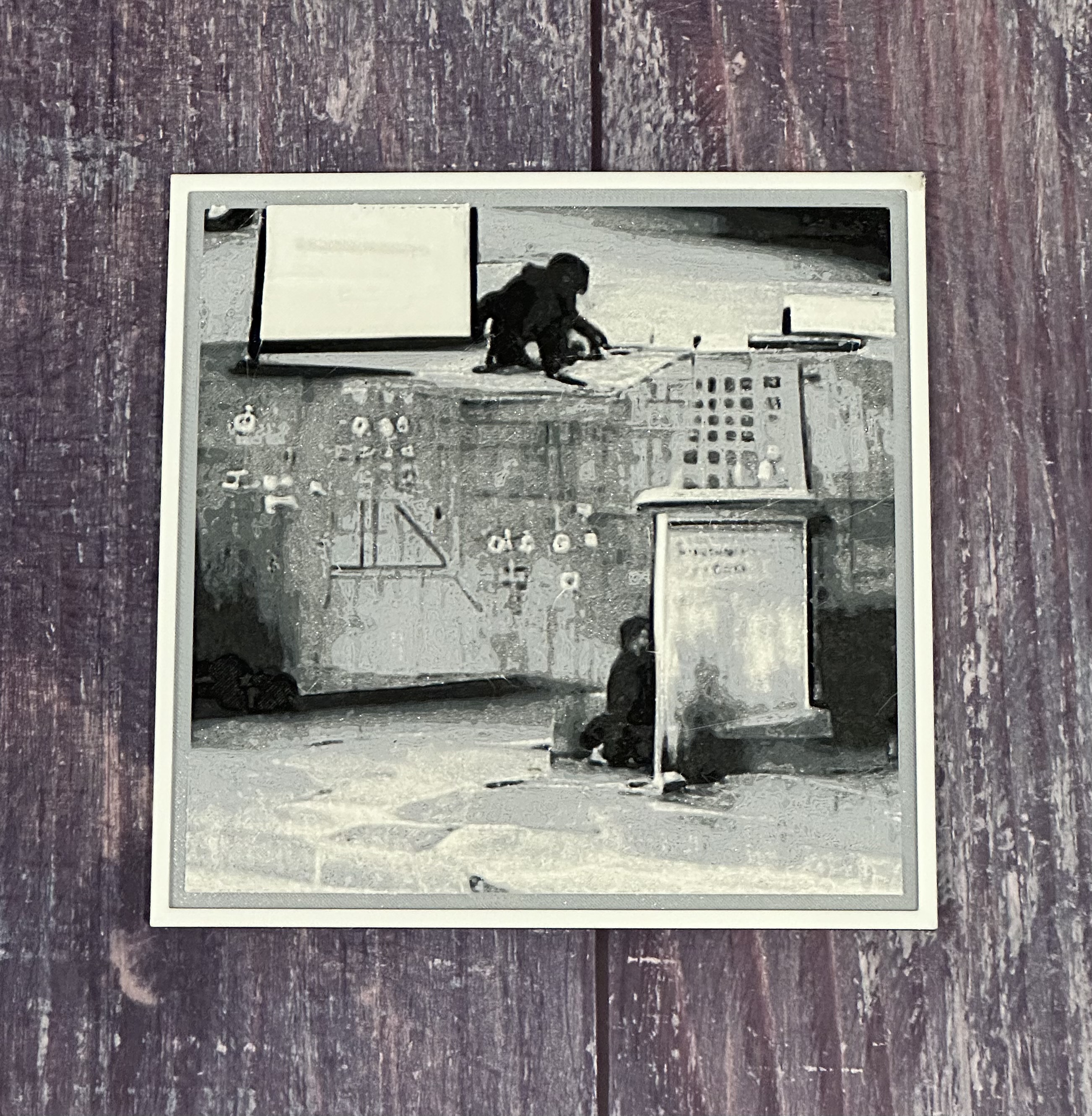 Chimpanzees Teaching Math — miniatura 7