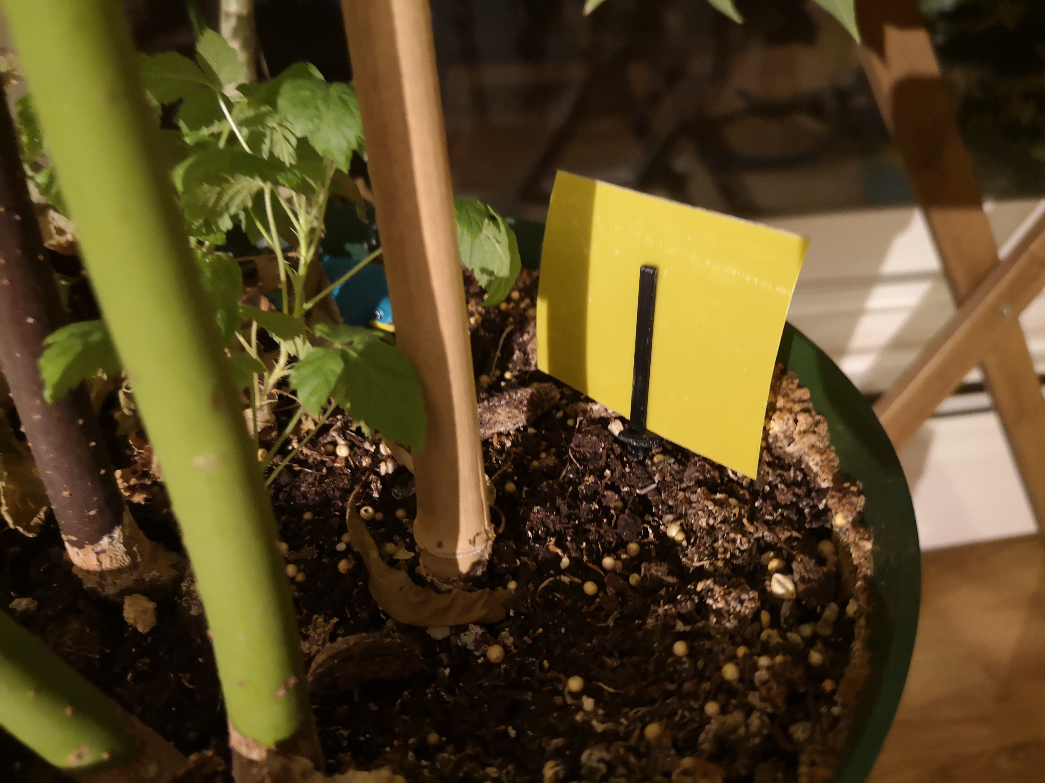 Sticky strips insect trap forked stake — miniatura 6