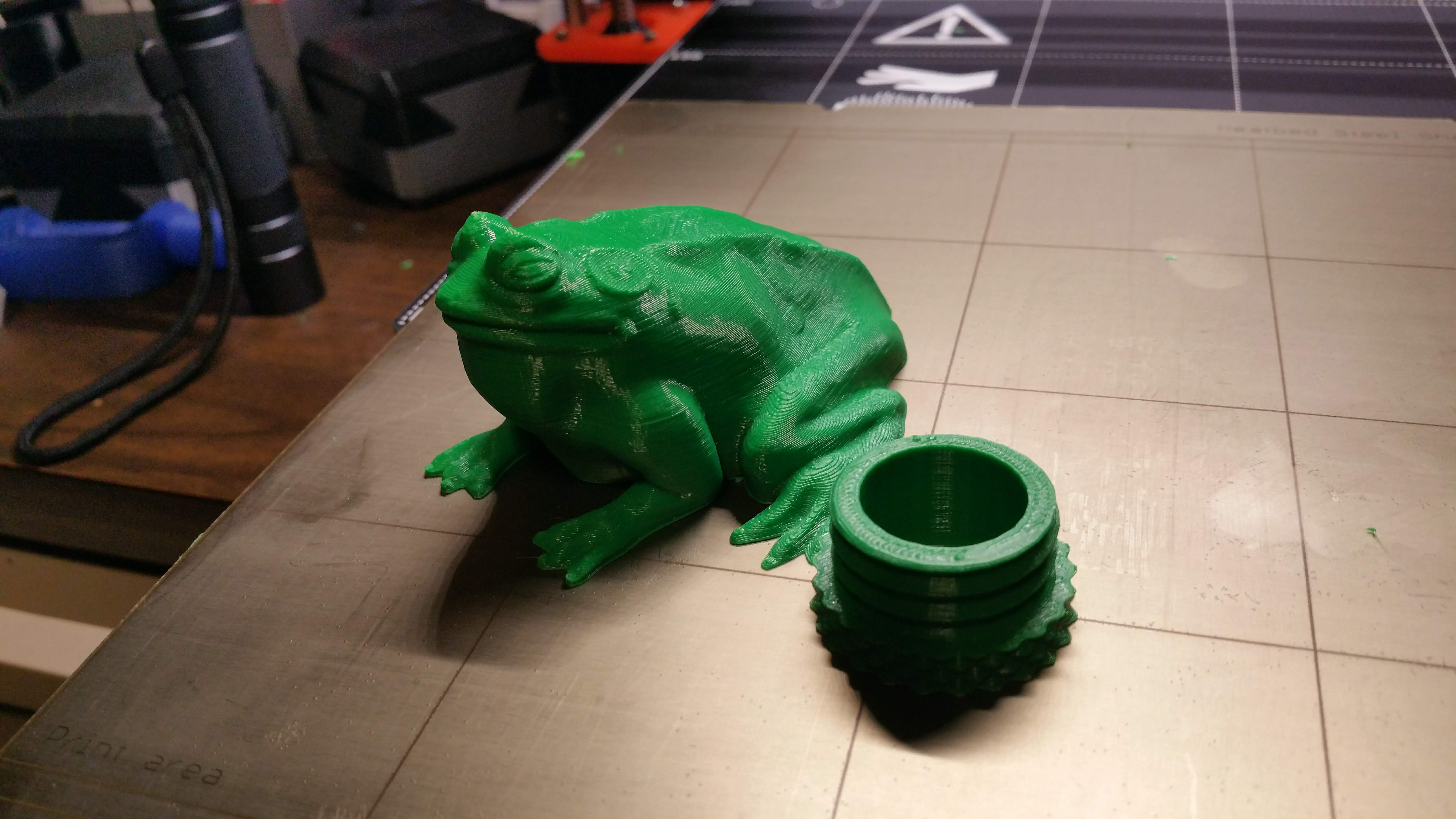 Bullfrog geocache remixed