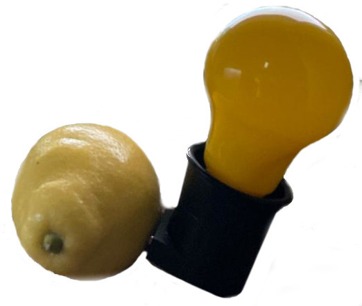 Joseph Beuys Capri Batterie (Multiple Arts)
