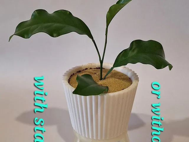 small flower pot