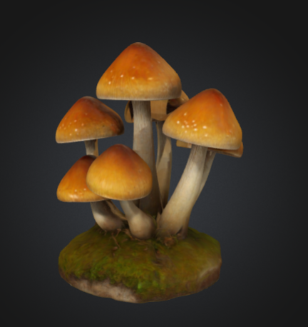 Decorative Mushroom