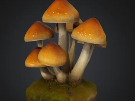 Decorative Mushroom