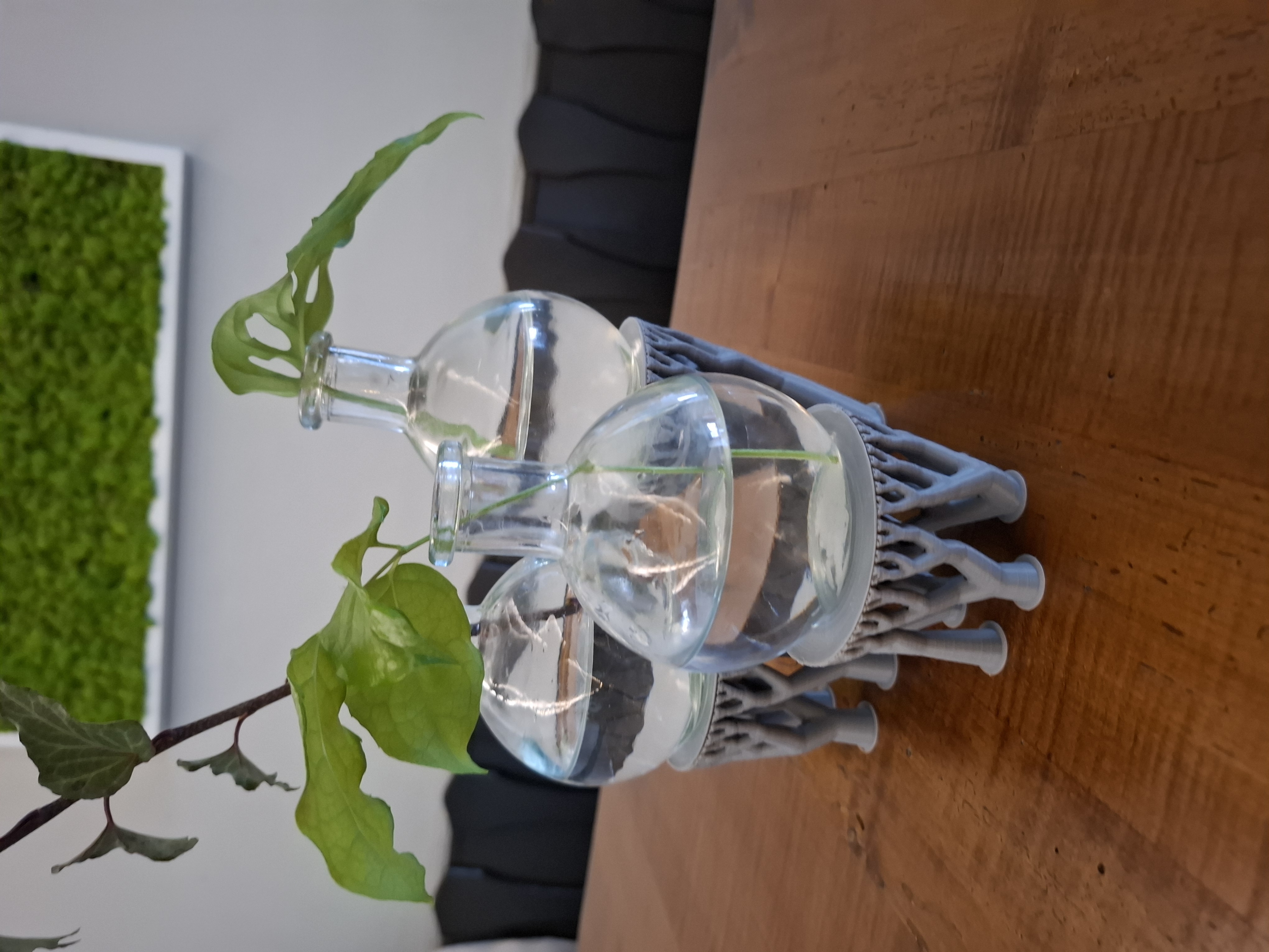 Tree Support Propagation Glass Stand