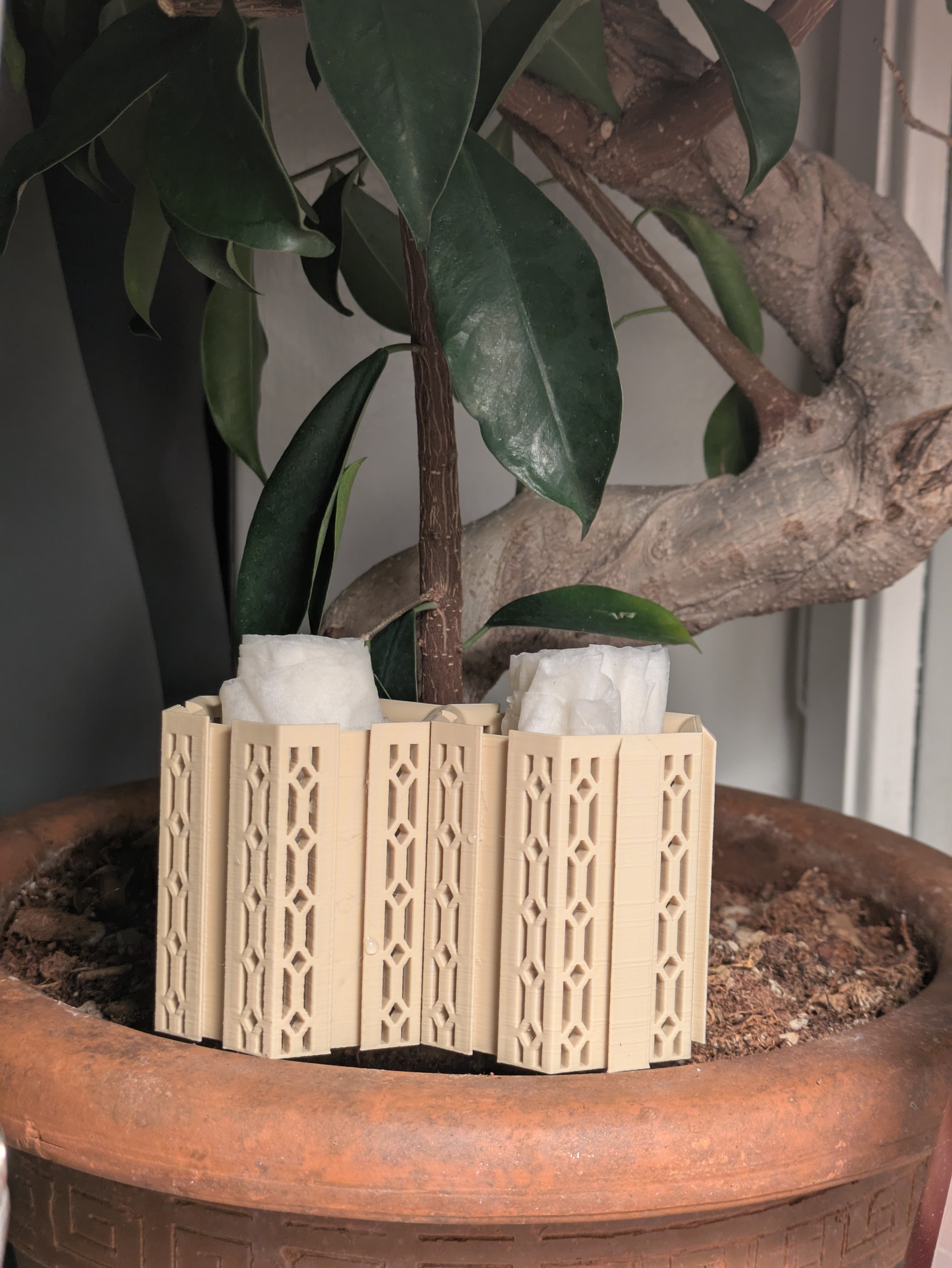Seed starter pots (parametric) — miniatura 4
