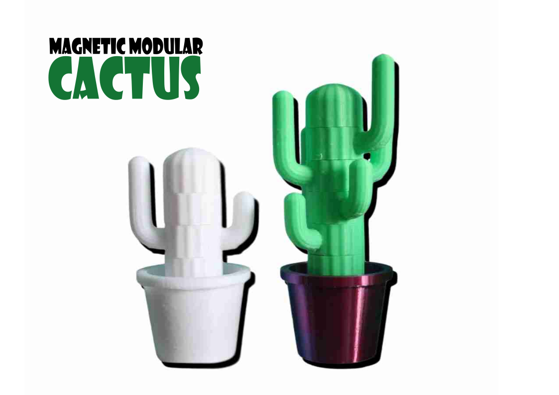 Magnetic Modular Cactus