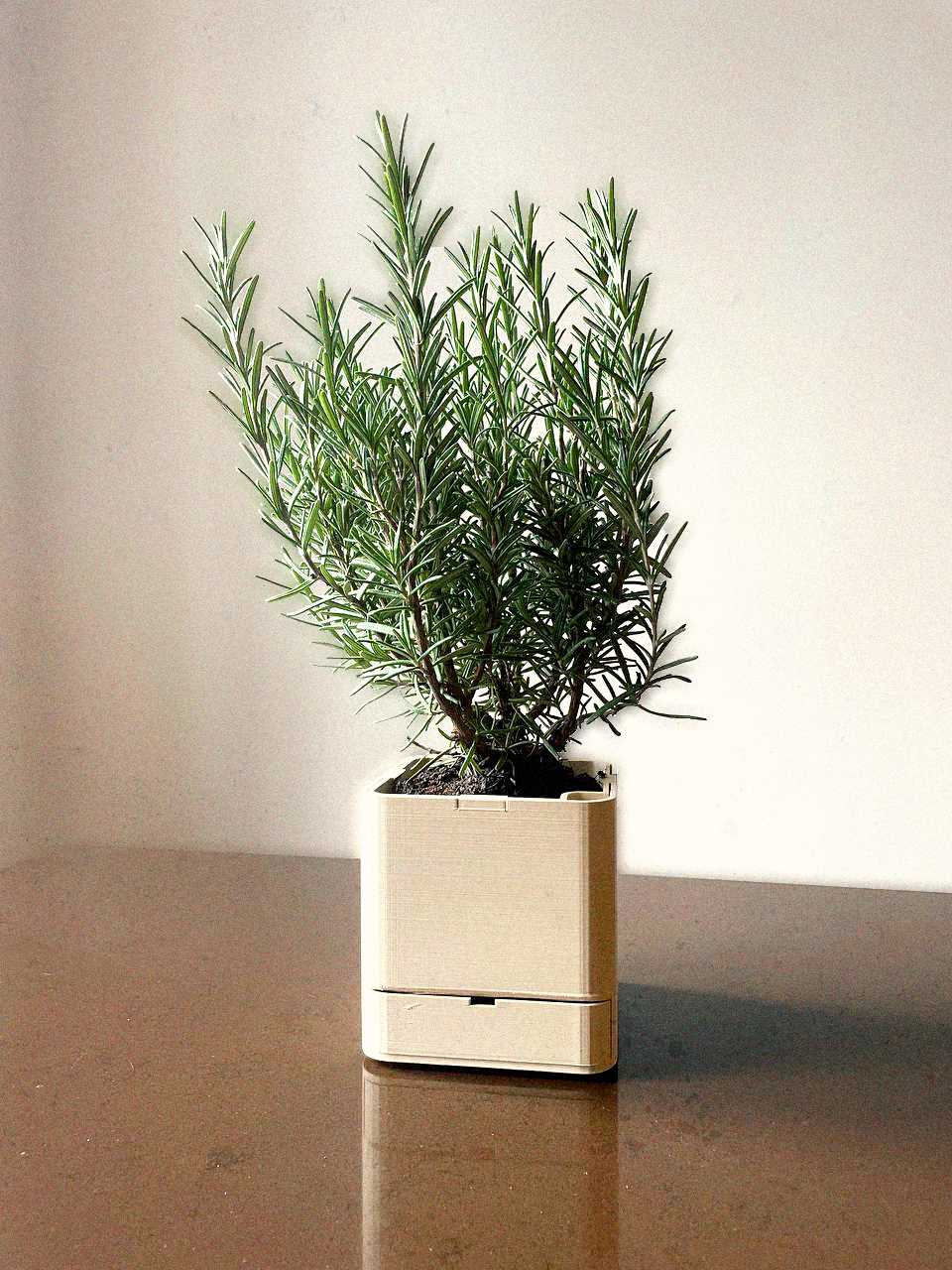 Simple Modern Self-Watering Herb/Flower Planter