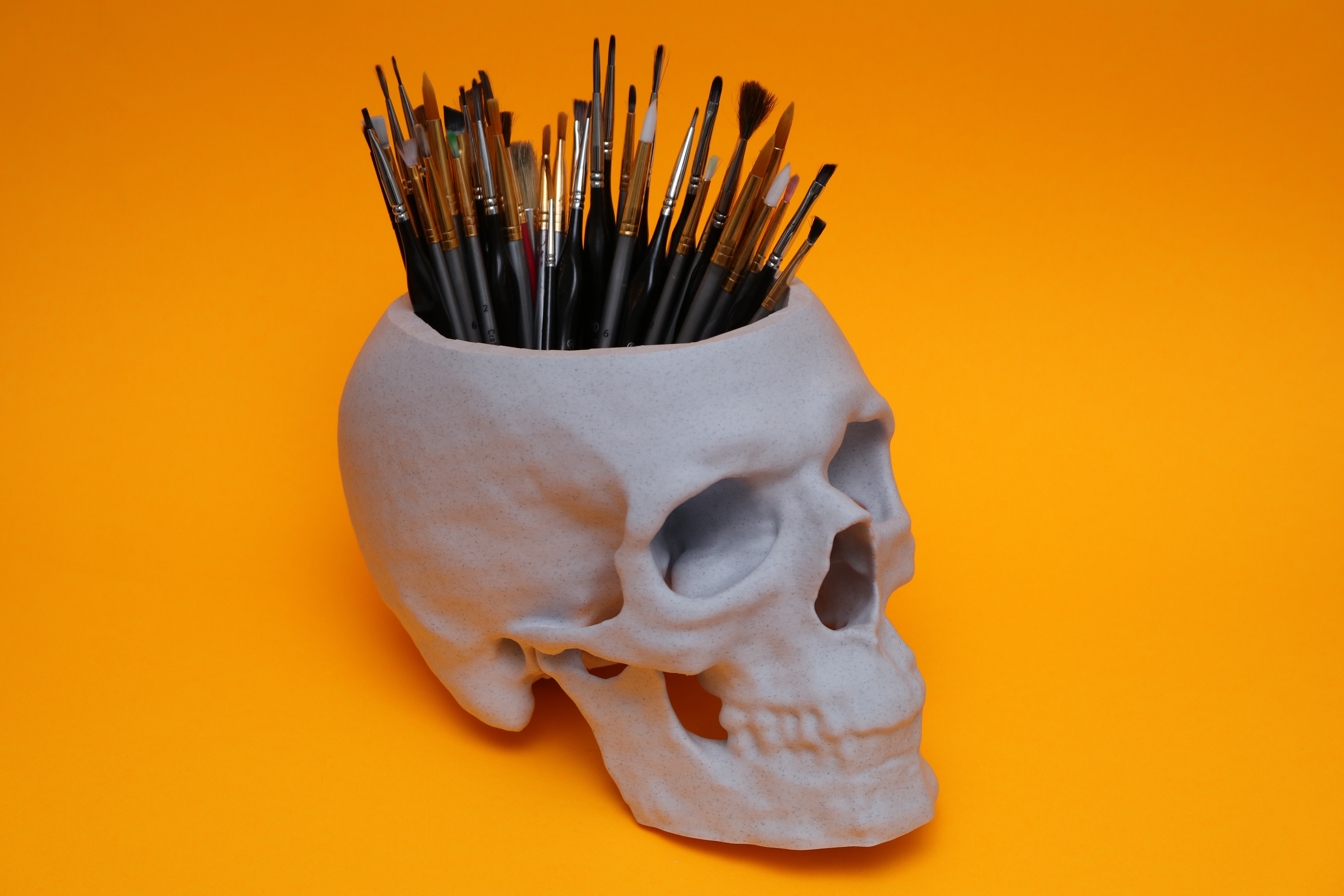 Skull Bowl from CT Scan