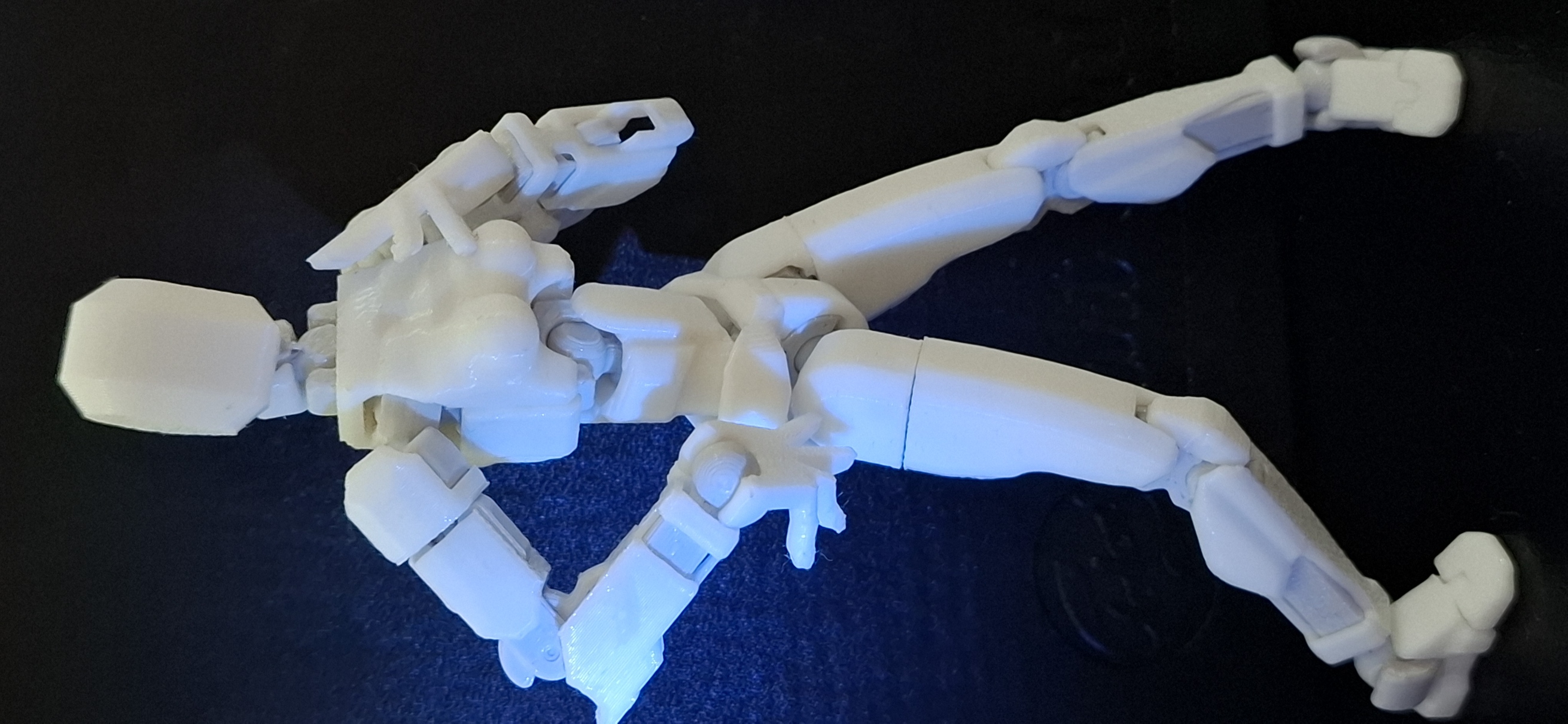 Dummy-13 Female torso ( breasts )