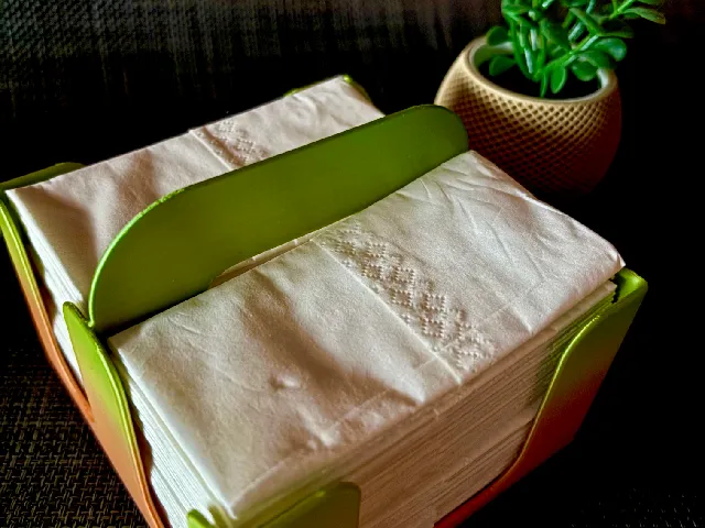 Tissue Holder - Tempo Box - "the double sneezer"