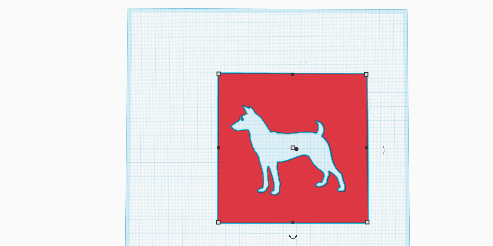 running or standing dog