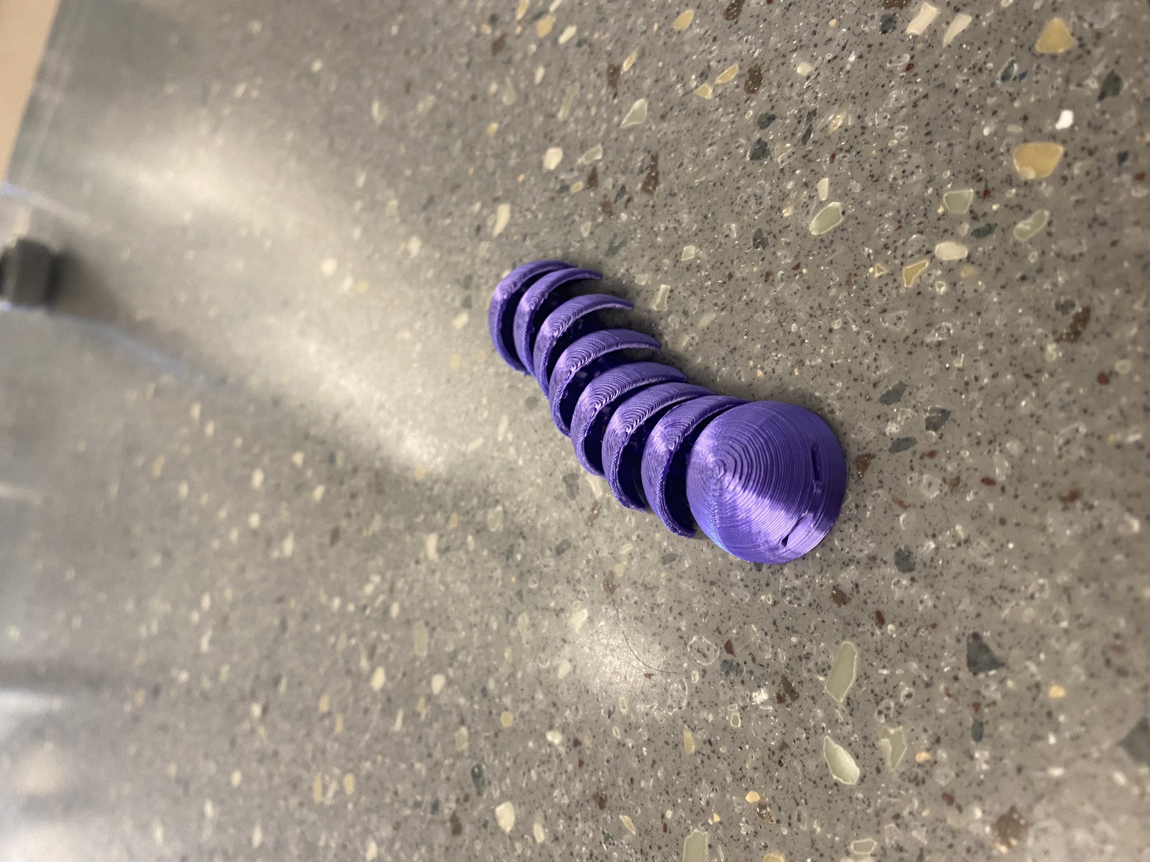 Wormy Bug