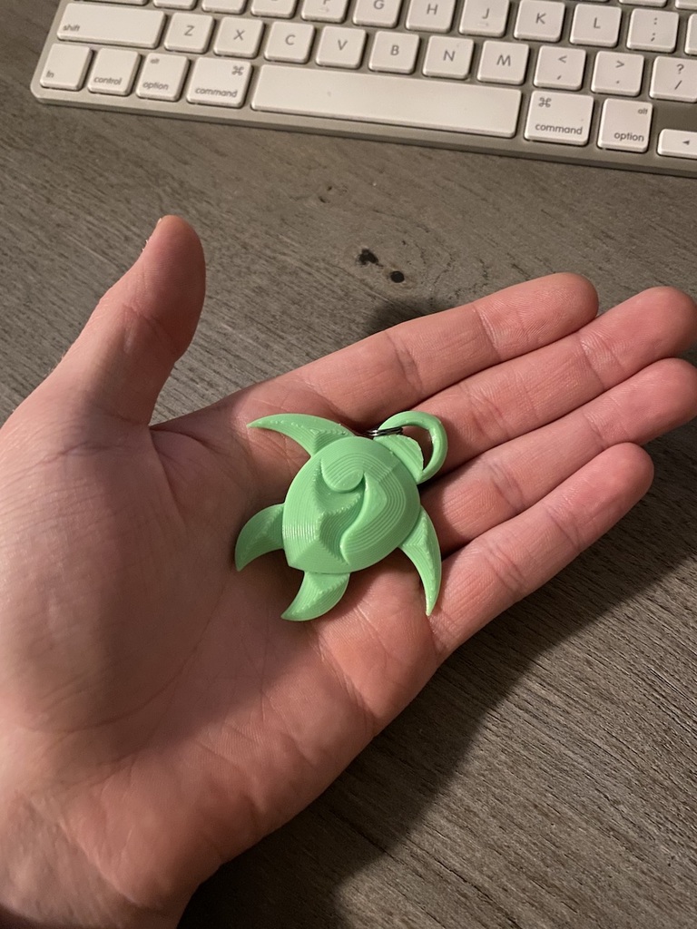 Miniatura 5 do modelo 3D Wavy Sea Turtle