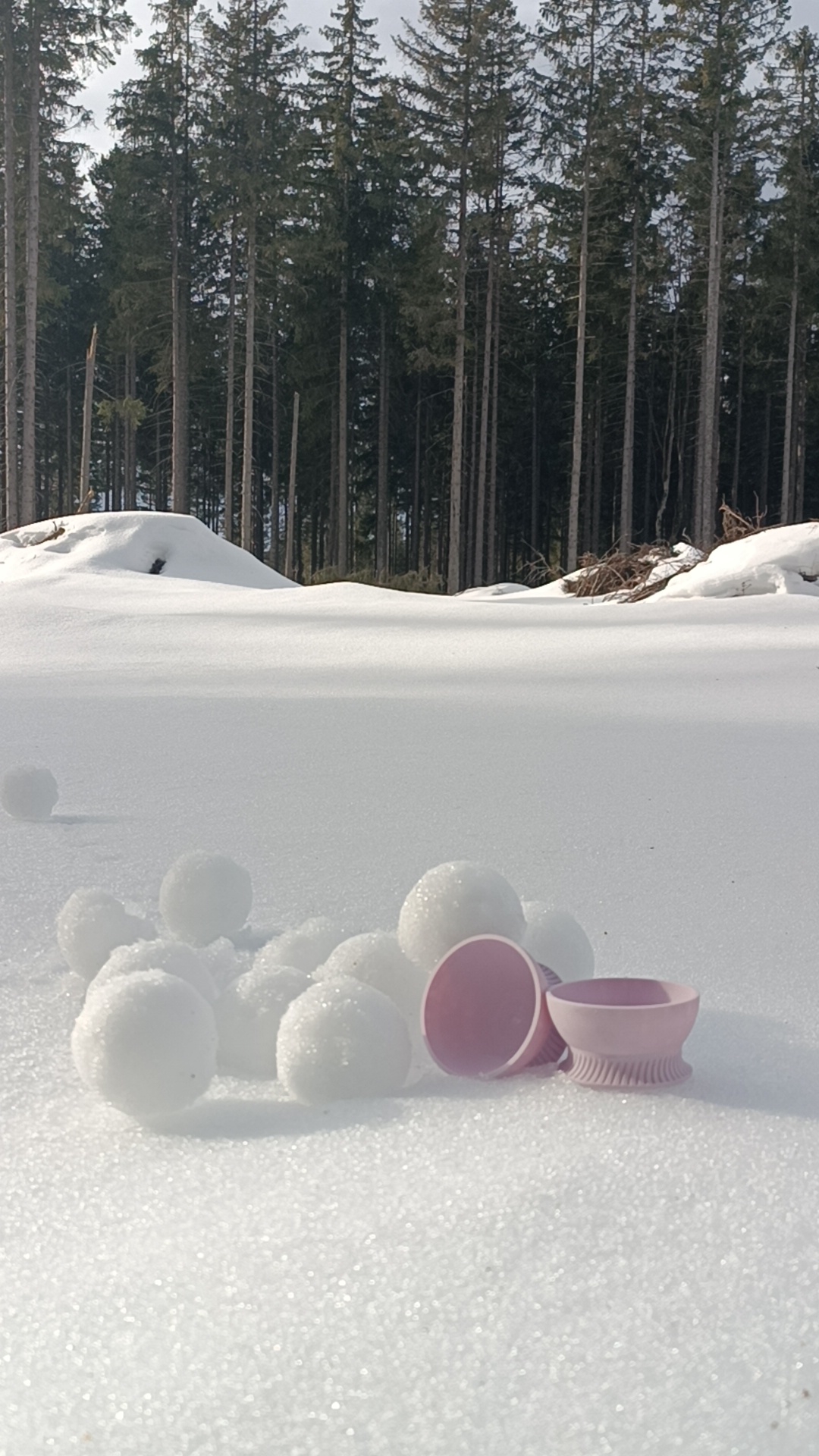 Snowball Maker