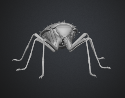 Miniatura 4 do modelo 3D cockroach