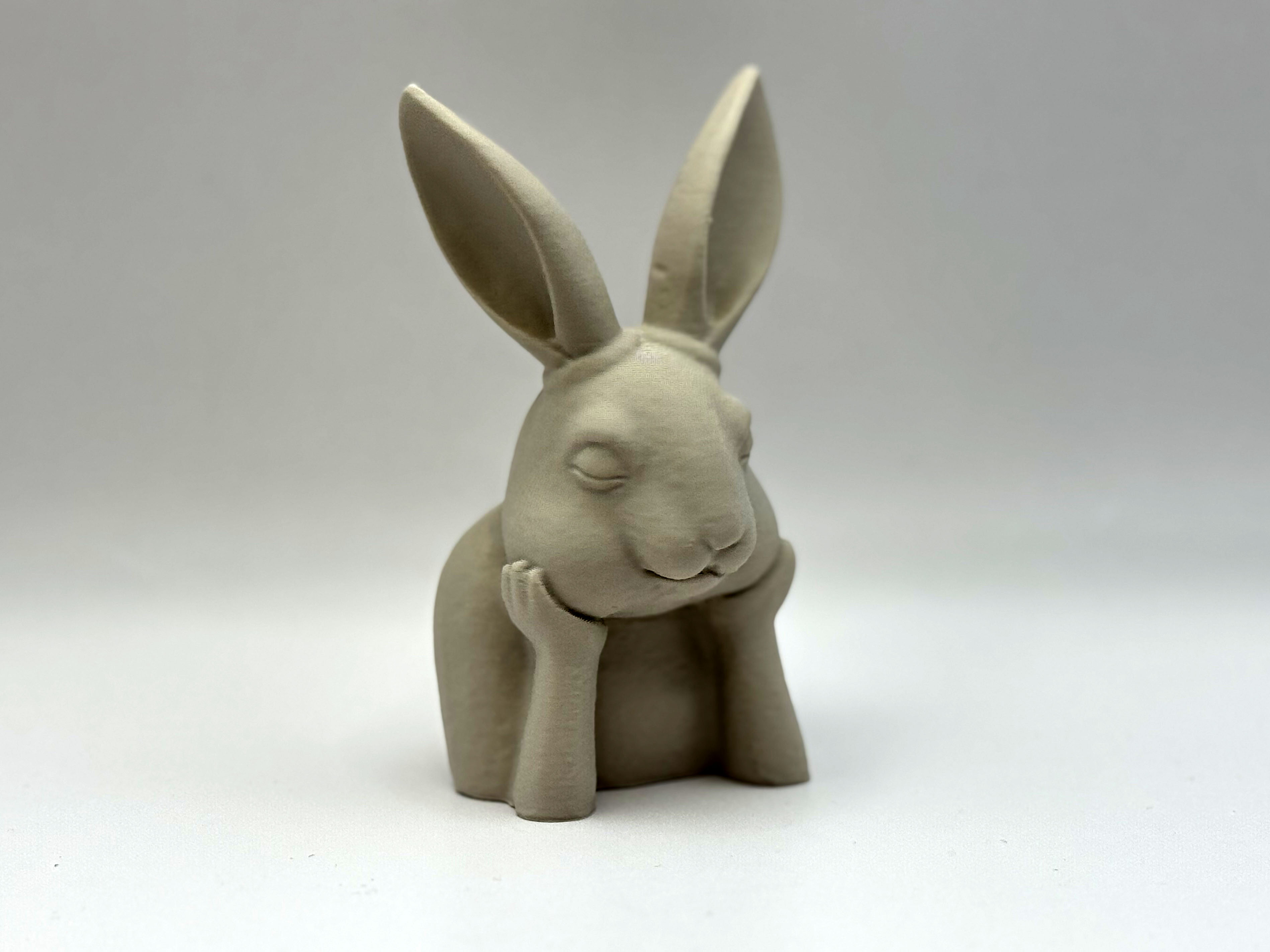 Daydreaming Bunny