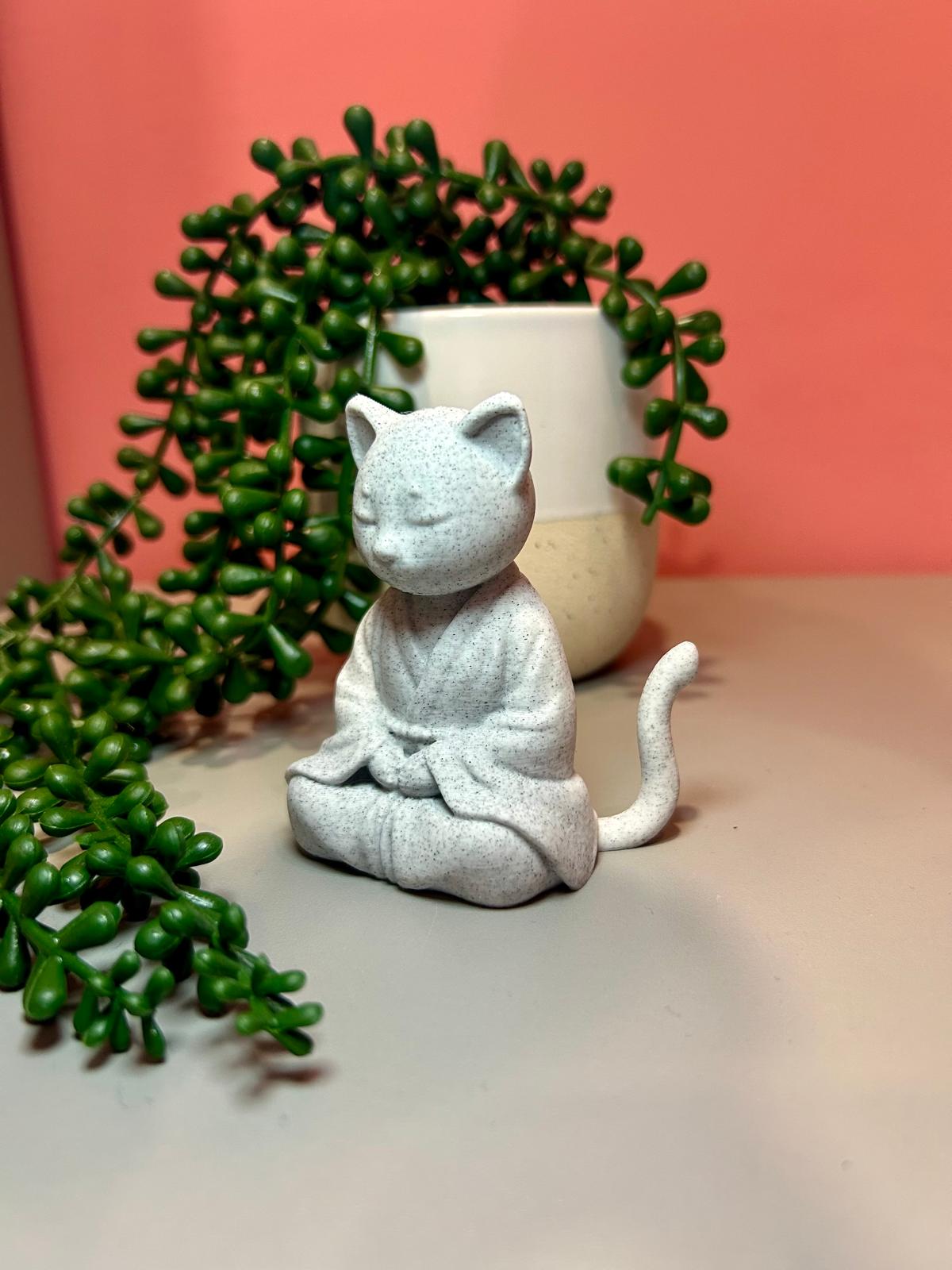 Cat-cat meditating