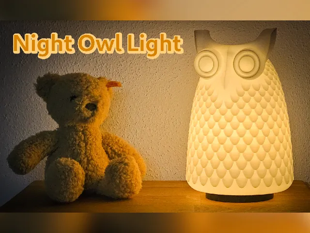 Night Owl Light