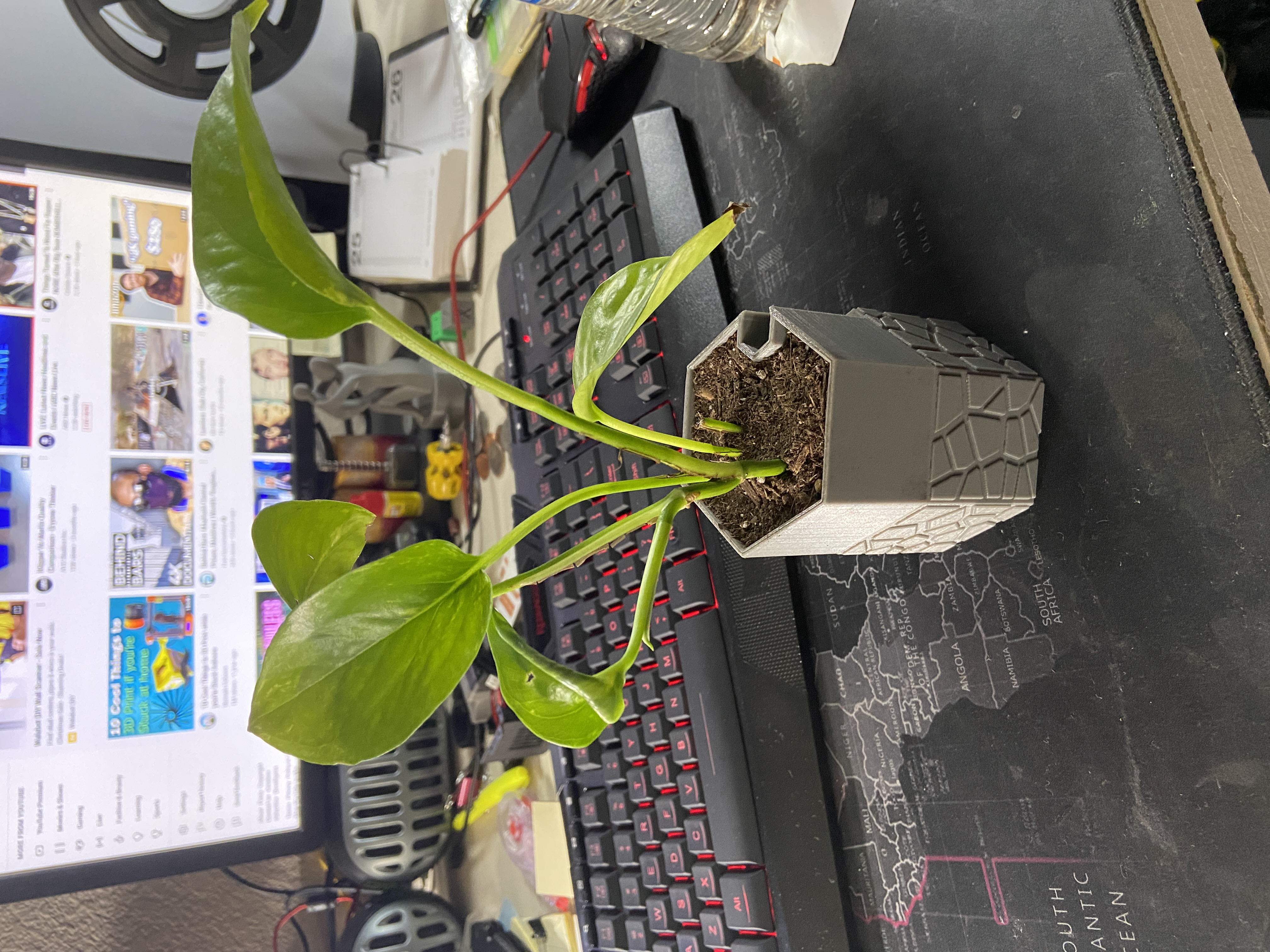 Self Watering Planter