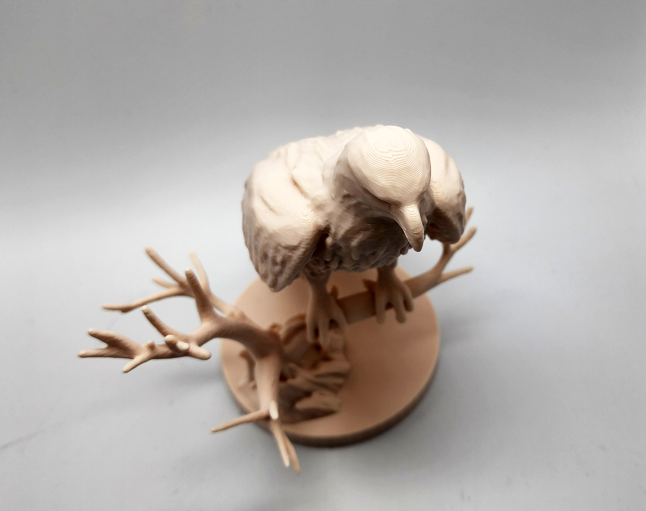 Miniatura 4 do modelo 3D Eagle on Perch