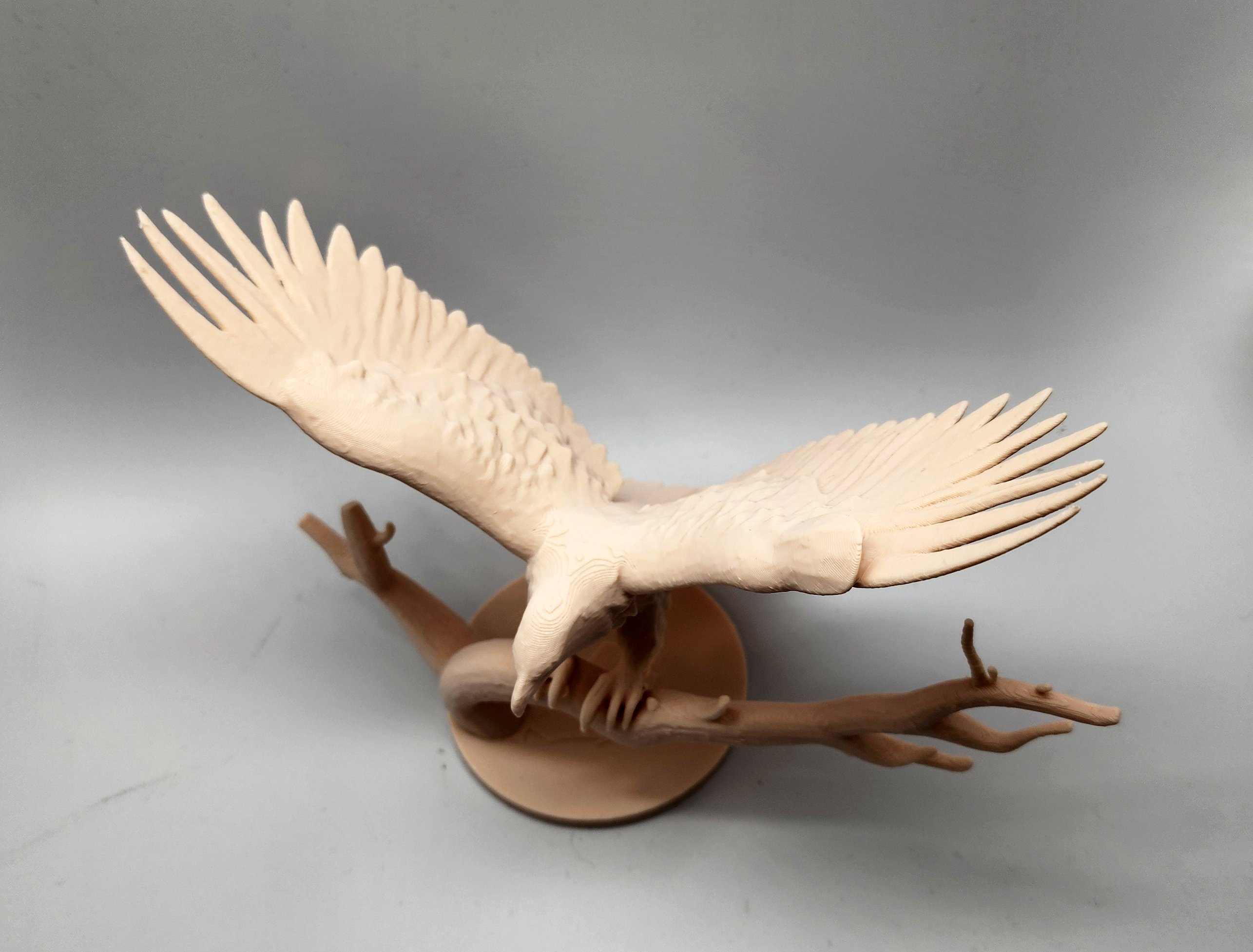 Miniatura 3 do modelo 3D Eagle with Wings Spread