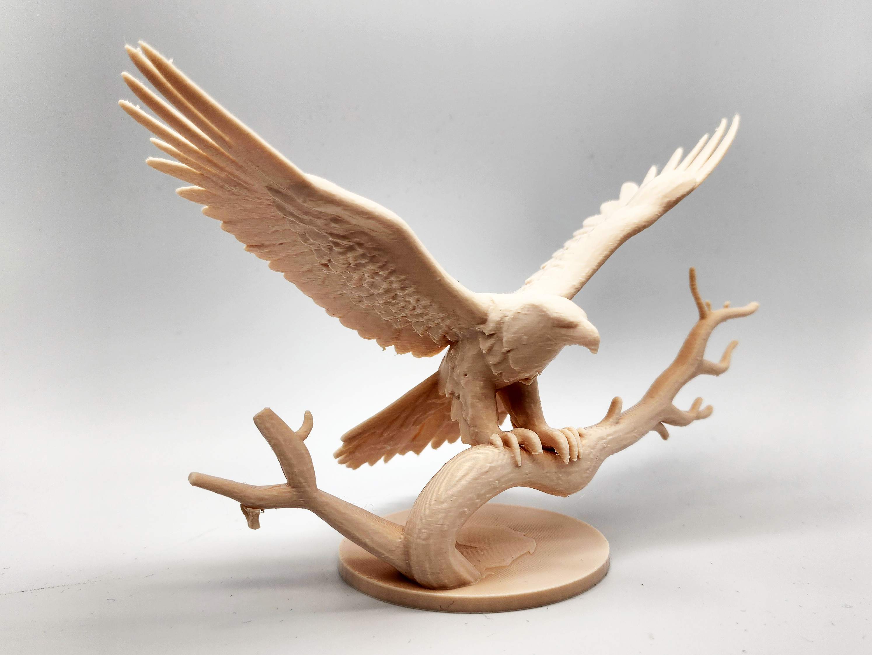 Miniatura 4 do modelo 3D Eagle with Wings Spread