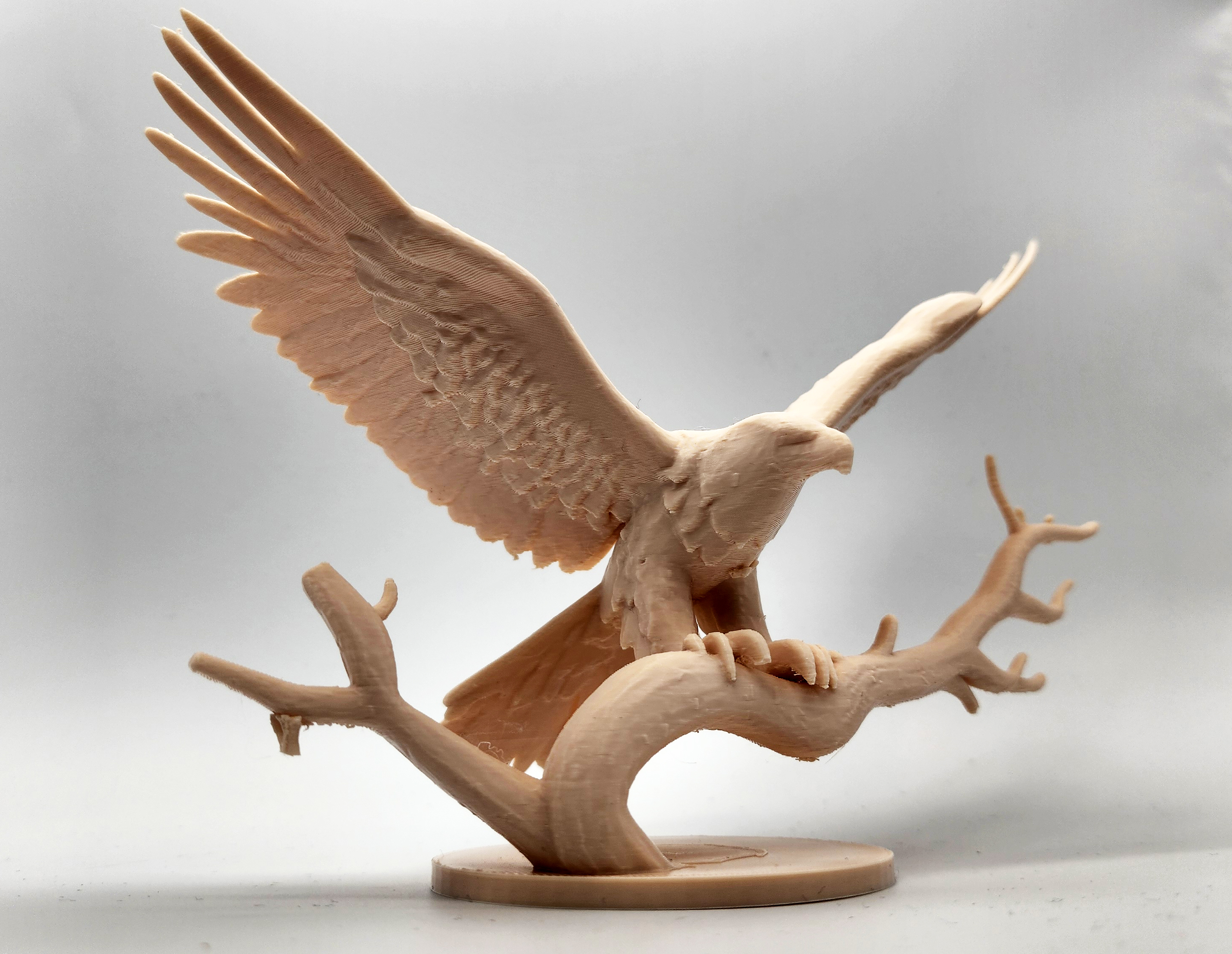 Miniatura 2 do modelo 3D Eagle with Wings Spread