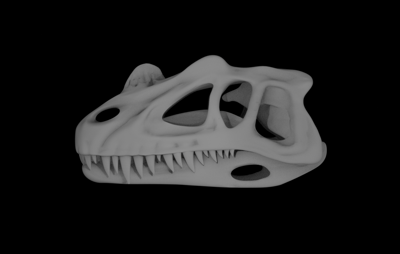 Ceratosaurus Skull