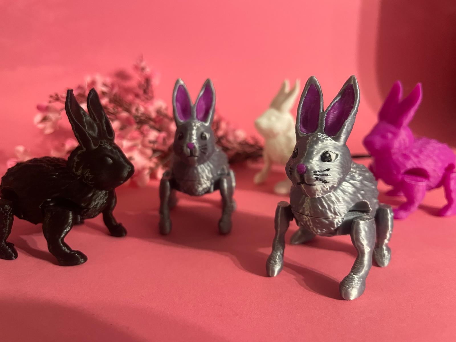 jumping Bunny-bunny!