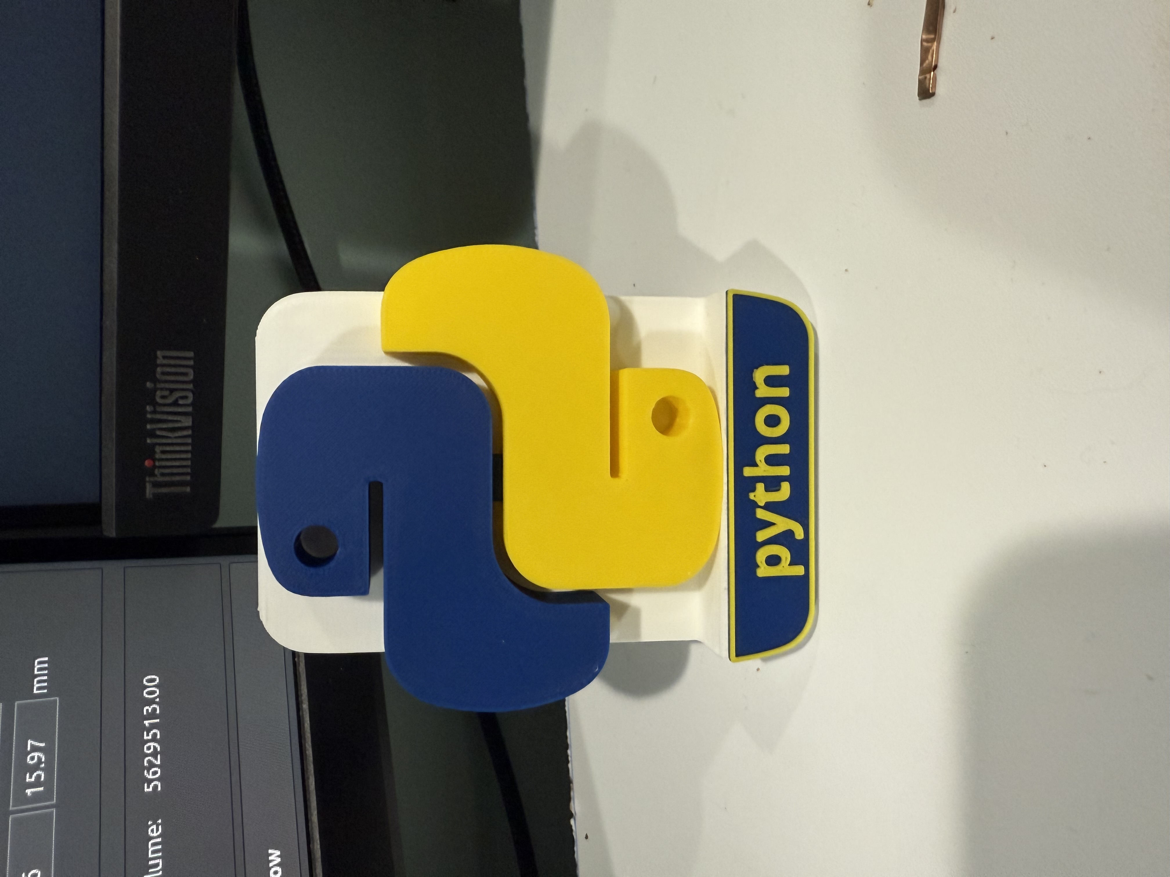 Multicolor python desk art!