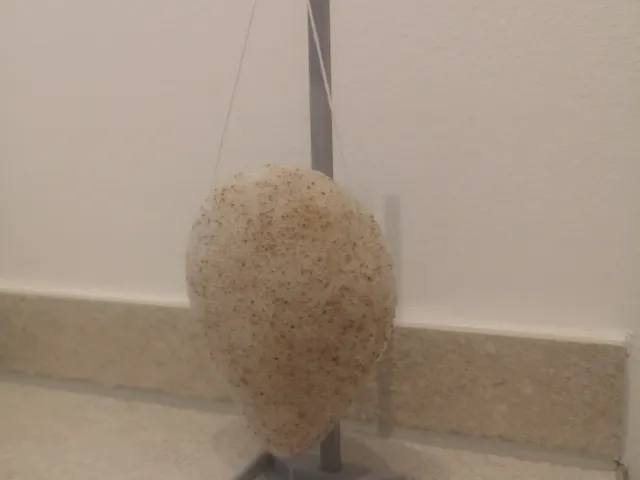 Konjac Schwamm Halterung