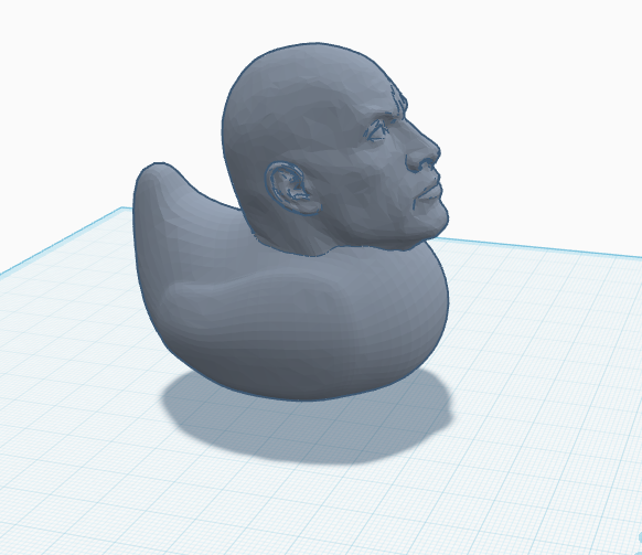 The Rock Duck