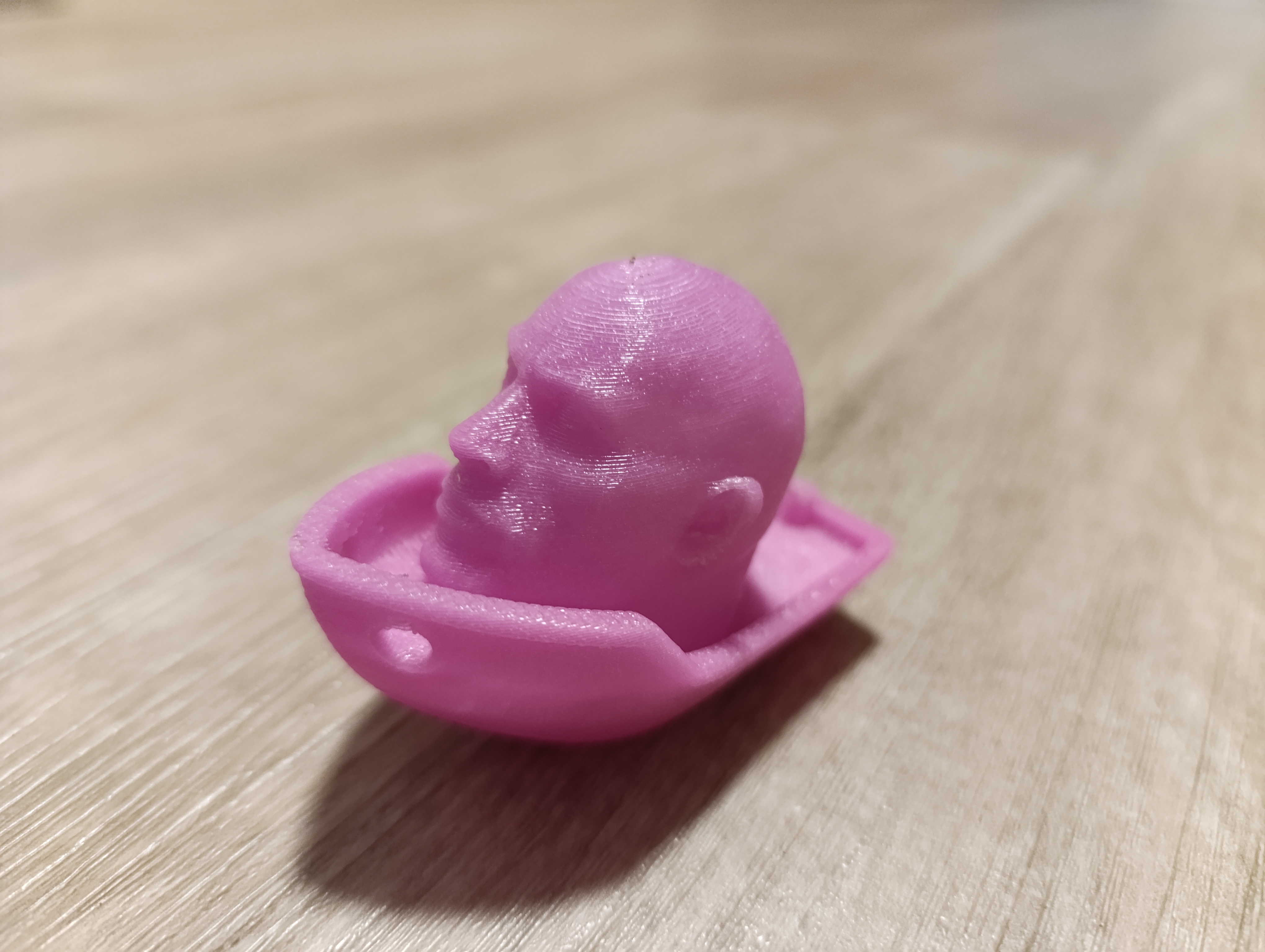The Rock Benchy