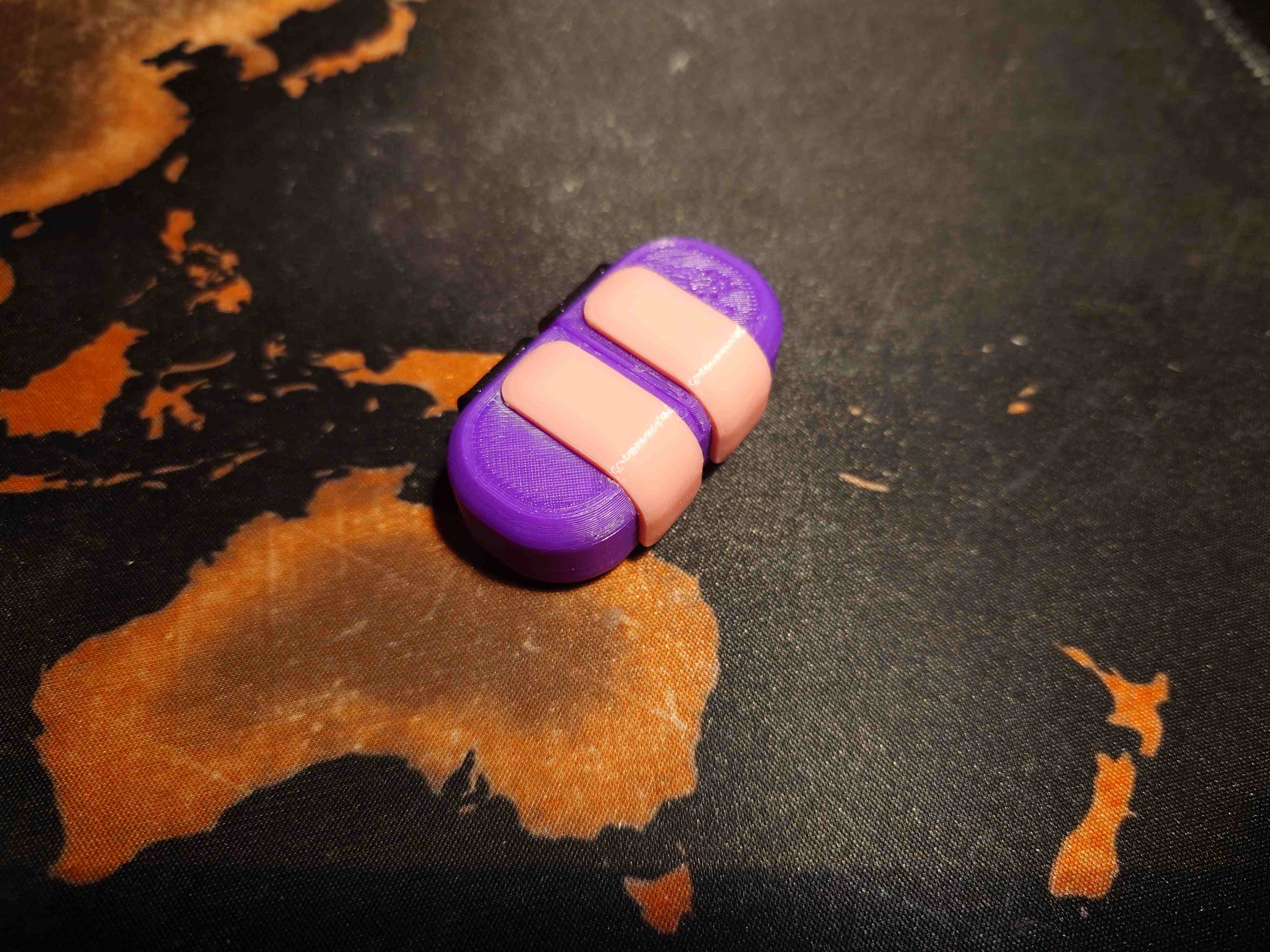 Earplugs Case with separated left and right compartments